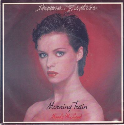 Sheena Easton - Morning Train Vinyl Singles Vinyl Zeer Goed / Hoesje Goed "VINYLSINGLES.NL"