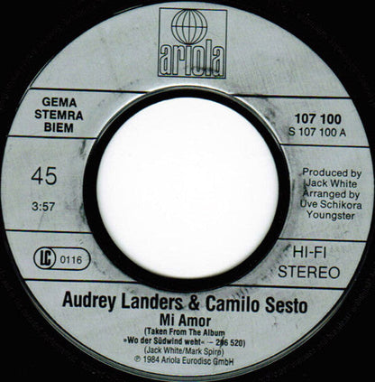 Audrey Landers & Camilo Sesto - Mi Amor 00901 Vinyl Singles Goede Staat