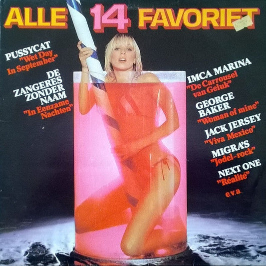 Various - Alle 14 Favoriet (LP) 49308 Vinyl LP VINYLSINGELS.NL