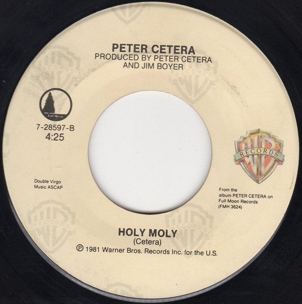 Peter Cetera - The Next Time I Fall