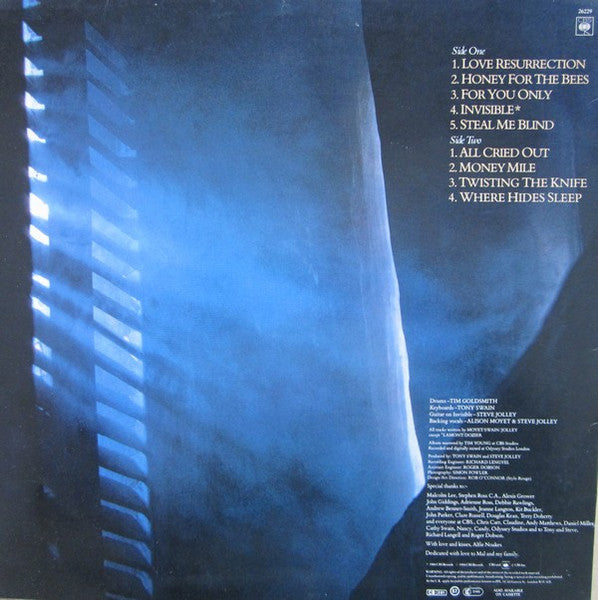 Alison Moyet - Alf (LP) (B-Keus) Vinyl LP Vinyl Very Good (VG) <br> Hoes Good Plus (G+)