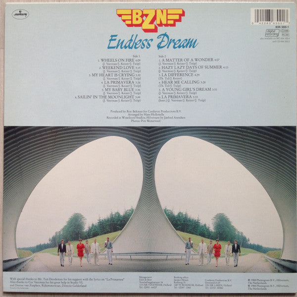 BZN - Endless Dream (LP) Vinyl LP Vinyl Very Good (VG) <br> Hoes Good Plus (G+)