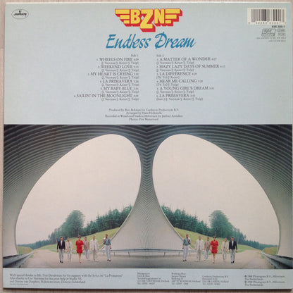 BZN - Endless Dream (LP) Vinyl LP Vinyl Very Good (VG) <br> Hoes Good Plus (G+)