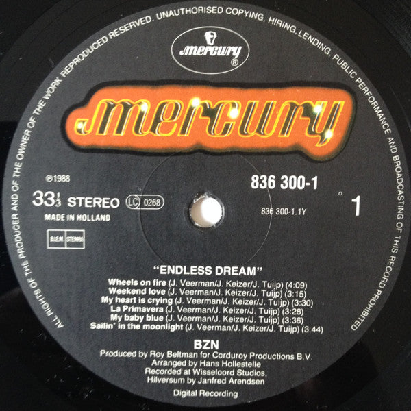 BZN - Endless Dream (LP) Vinyl LP Vinyl Very Good (VG) <br> Hoes Good Plus (G+)