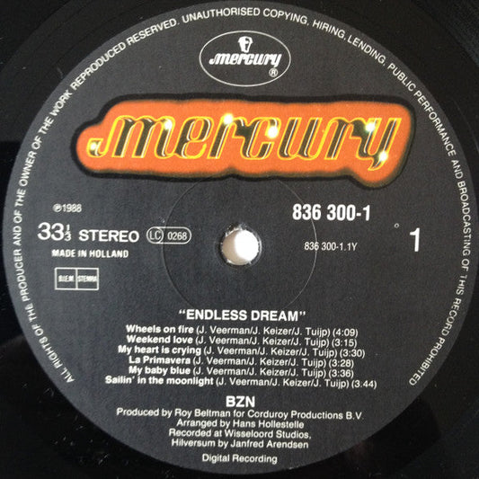 BZN - Endless Dream (LP) 97-48545