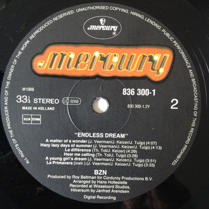 BZN - Endless Dream (LP) Vinyl LP Vinyl Very Good (VG) <br> Hoes Good Plus (G+)