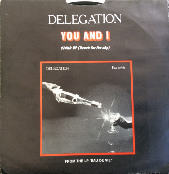 Delegation - You And I Vinyl Singles Vinyl Very Good (VG) <br> Hoes Good Plus (G+)