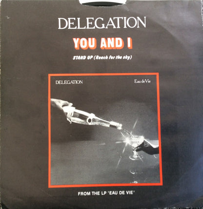 Delegation - You And I Vinyl Singles Vinyl Very Good (VG) <br> Hoes Good Plus (G+)