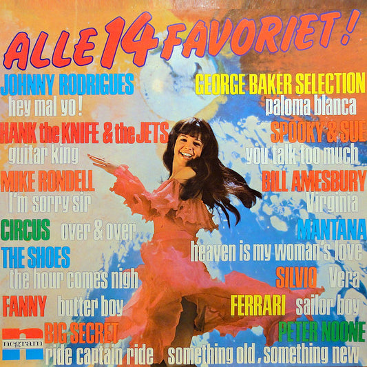 Various - Alle 14 Favoriet! (LP) 50246 Vinyl LP Goede Staat