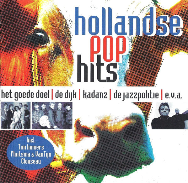 Various - Hollandse Pop Hits (CD) Compact Disc Goede Staat