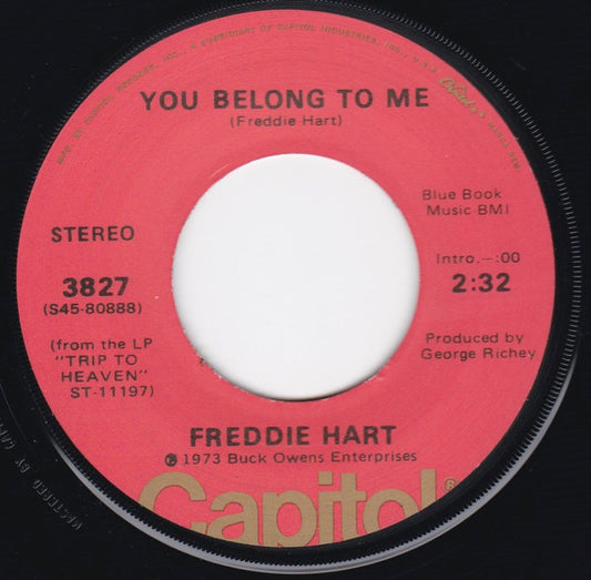 Freddie Hart - Hang In There Girl Vinyl Singles Vinyl Zeer Goed / Hoesje Generic "VINYLSINGLES.NL"
