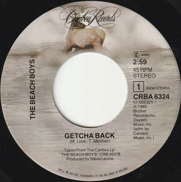 Beach Boys - Getcha Back Vinyl Singles Vinyl Very Good (VG) <br> Hoes Generic