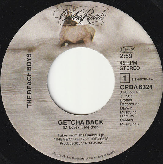 Beach Boys - Getcha Back Vinyl Singles Vinyl Very Good (VG) <br> Hoes Generic