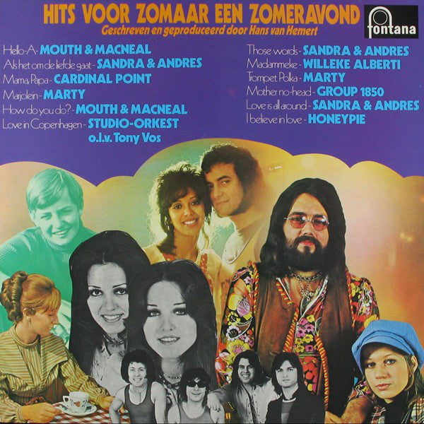 Hans van Hemert - Hits Voor Zomaar Een Zomeravond (LP) 42371 Vinyl LP Goede Staat