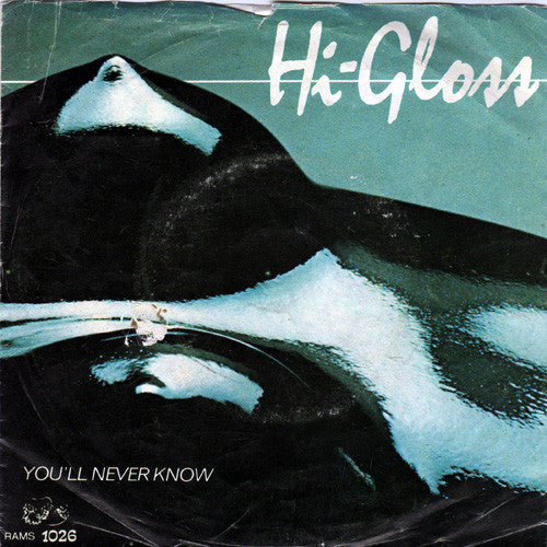 Hi-Gloss - You'll Never Know Vinyl Singles Vinyl Very Good (VG) <br> Hoes Good Plus (G+)