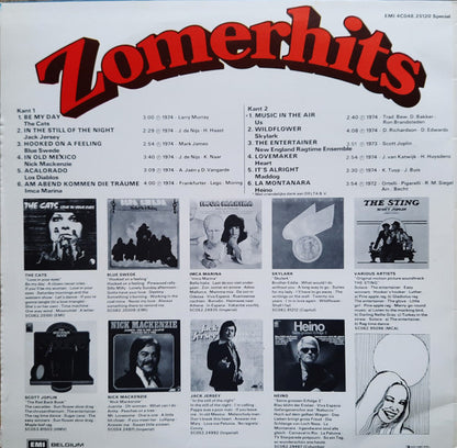 Various - Zomerhits (LP)