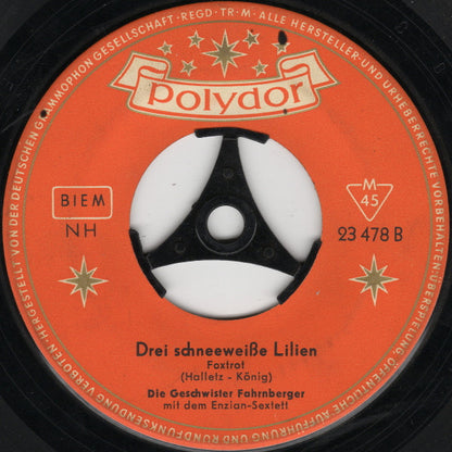 Geschwister Fahrnberger - Es Läuten Die Glocken Am Königsee Vinyl Singles Vinyl Very Good (VG) <br> Hoes Good Plus (G+)