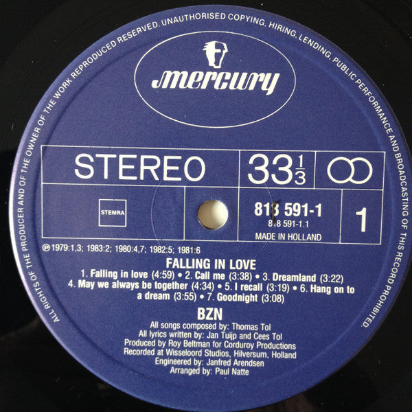 BZN - Falling In Love (LP)