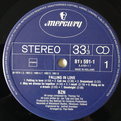 BZN - Falling In Love (LP)