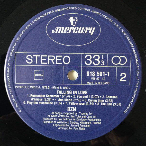 BZN - Falling In Love (LP)