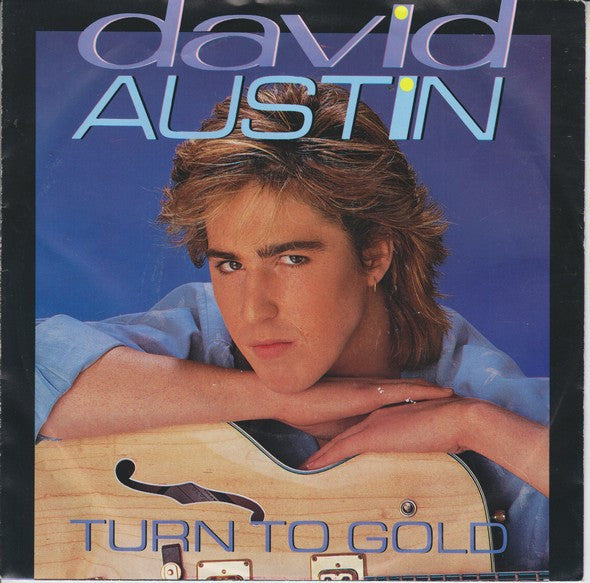 David Austin - Turn To Gold Vinyl Singles Vinyl Very Good (VG) <br> Hoes Good Plus (G+)