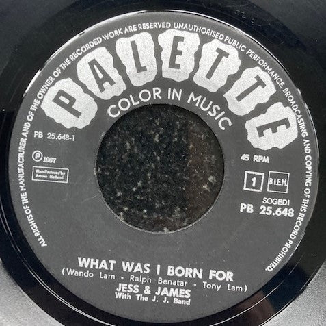 Jess & James, The J.J. Band - What Was I Born For Vinyl Singles Vinyl Goed / Hoes Generic