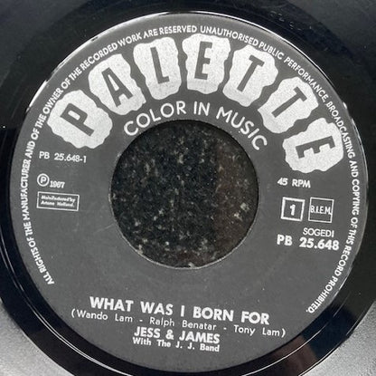 Jess & James, The J.J. Band - What Was I Born For Vinyl Singles Vinyl Goed / Hoes Generic