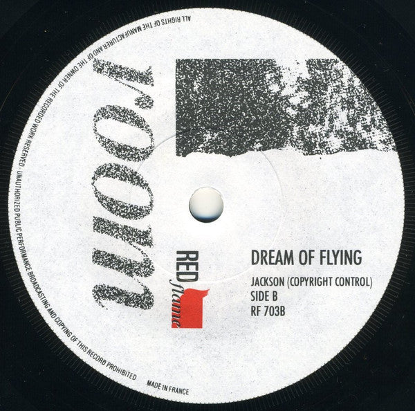 Room - Things Have Learnt To Walk That Ought To Crawl Vinyl Singles Vinyl Very Good (VG) <br> Hoes Good Plus (G+)