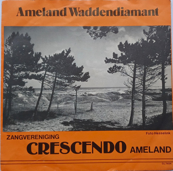 Gemengde Zangvereniging Crescendo - Ameland's Volkslied Vinyl Singles Vinyl Very Good (VG) <br> Hoes Good Plus (G+)