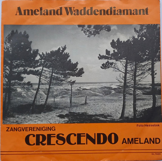Gemengde Zangvereniging Crescendo - Ameland's Volkslied Vinyl Singles Vinyl Very Good (VG) <br> Hoes Good Plus (G+)