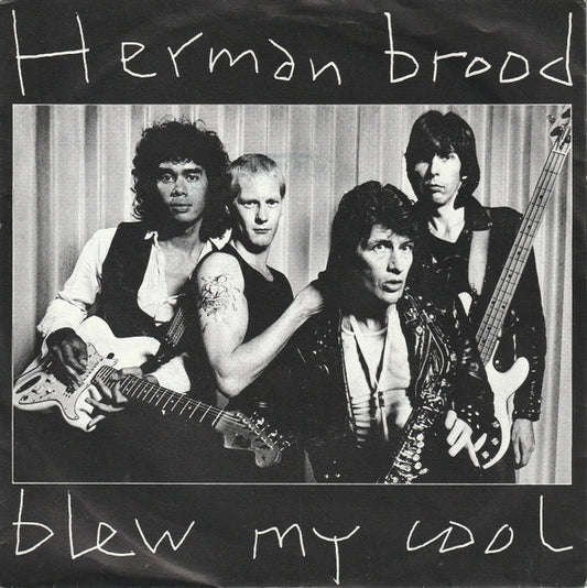 Herman Brood - Blew My Cool 36366 Vinyl Singles Goede Staat