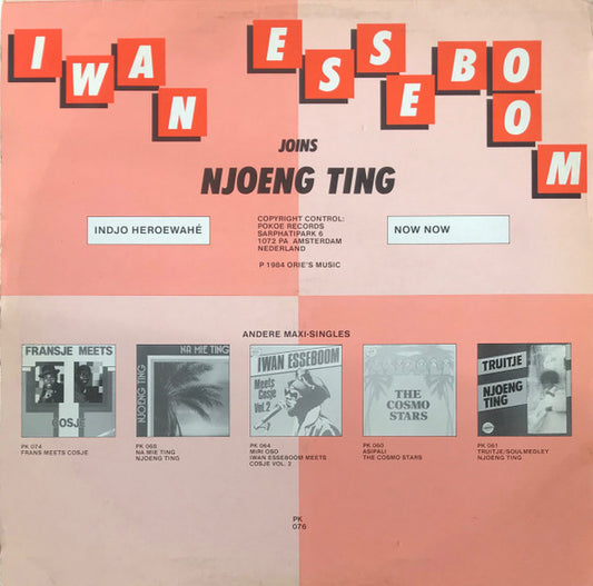 Iwan Esseboom - Iwan Esseboom Joins Njoeng Ting (Maxi-Single) Maxi-Singles Vinyl Zeer Goed / Hoesje Goed "VINYLSINGLES.NL"