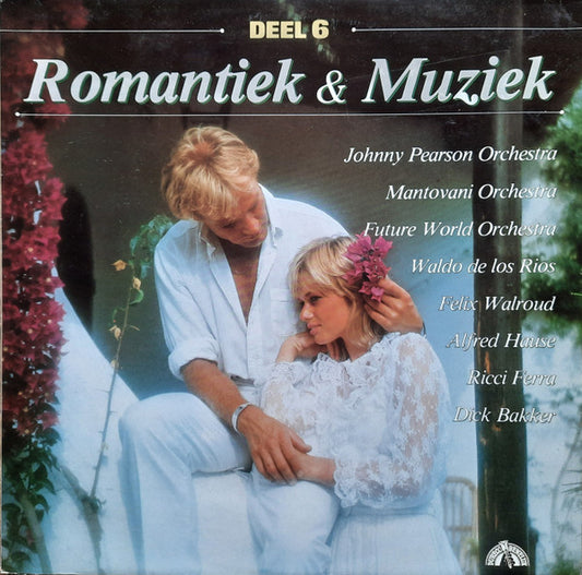 Various - Romantiek & Muziek 6 (LP) 50227 Vinyl LP Dubbel VINYLSINGLES.NL