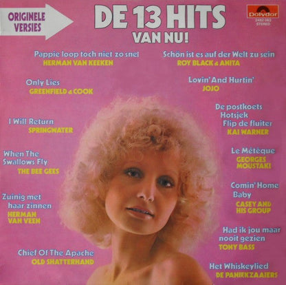 Various - De 13 Hits Van Nu (LP) 49524