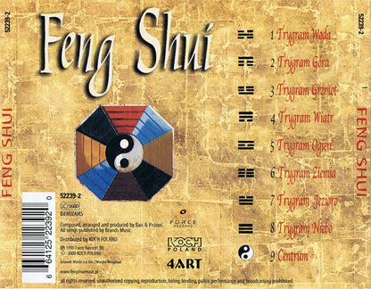 Coen Bais / Jons Pistoor - Feng Shui (CD) Compact Disc Goede Staat