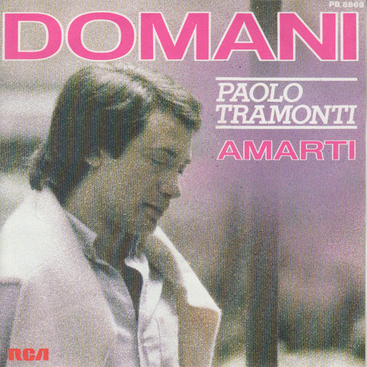 Paolo Tramonti - Domani 36053 Vinyl Singles Goede Staat