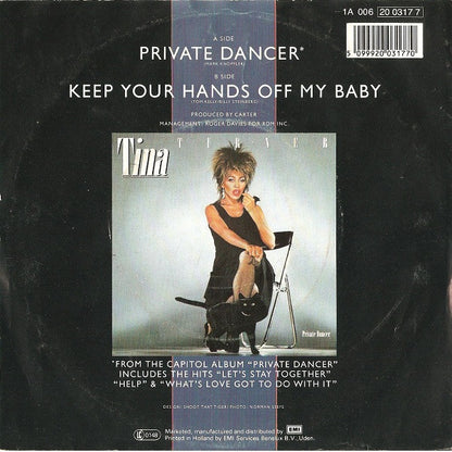 Tina Turner - Private Dancer Vinyl Singles Vinyl Very Good (VG) <br> Hoes Good Plus (G+)