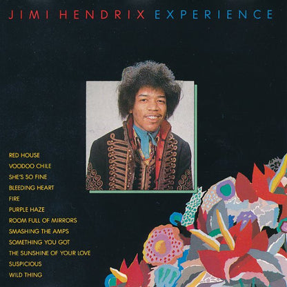Jimi Hendrix Experience - Jimi Hendrix Experience (CD) Compact Disc Goede Staat