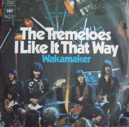 Tremeloes - I Like It That Way (B) 19612 Vinyl Singles Gebruikssporen!