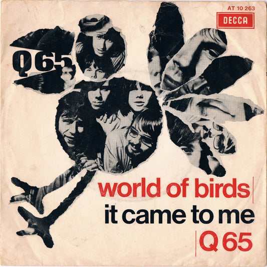 Q65 - World Of Birds Vinyl Singles Vinyl Goed / Hoesje Goed "VINYLSINGLES.NL"