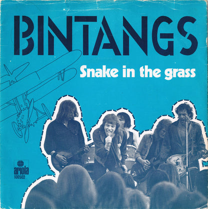 Bintangs - Snake In The Grass 35254 Vinyl Singles Goede Staat