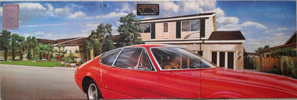 Carpenters - Now & Then (LP)