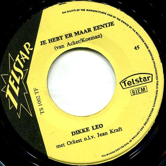 Dikke Leo - De Schoorsteenveger Vinyl Singles Vinyl Zeer Goed / Hoesje Generic "VINYLSINGLES.NL"