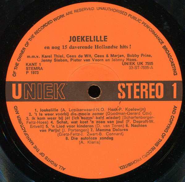 Various - Joekelille En Nog 15 Daverende Hollandse Hits (LP) 46896