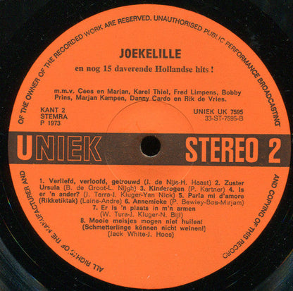 Various - Joekelille En Nog 15 Daverende Hollandse Hits (LP) 46896
