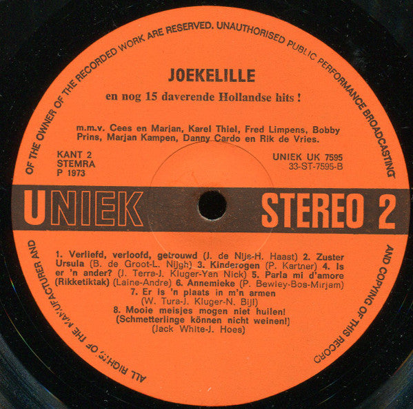 Various - Joekelille En Nog 15 Daverende Hollandse Hits (LP) 41067 Vinyl LP Goede Staat