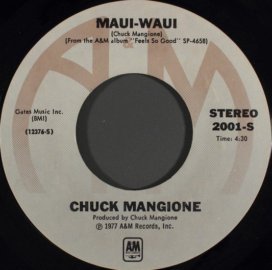 Chuck Mangione - Feels So Good