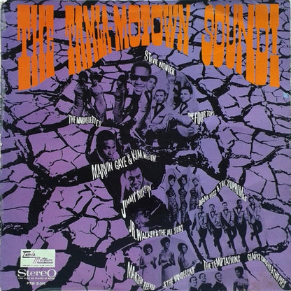 Various - The Tamla-Motown Sound! (LP) Vinyl LP Vinyl Very Good (VG) <br> Hoes Good Plus (G+)