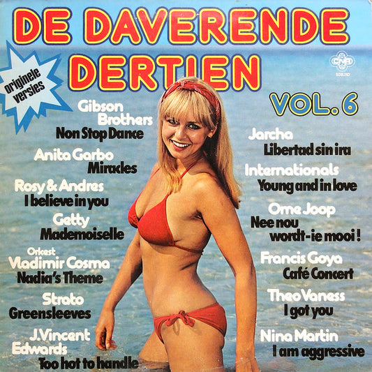 Various - De Daverende Dertien Vol. 6 (LP) Vinyl LP