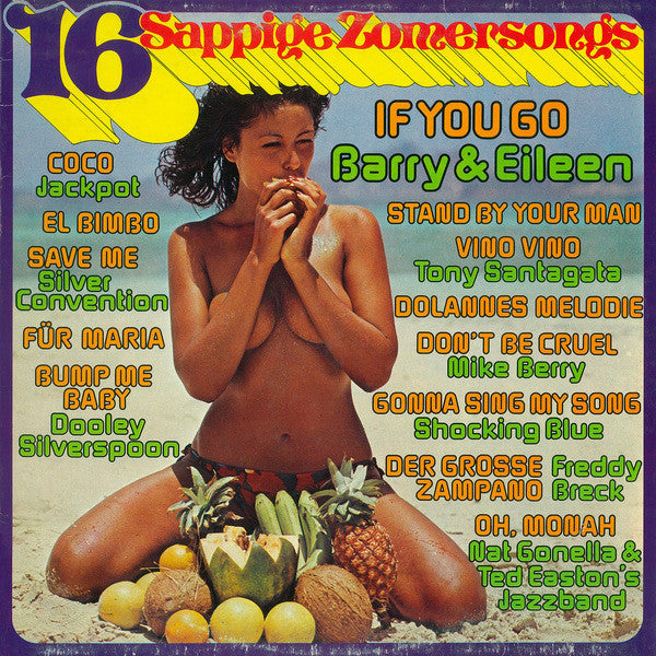 Various - 16 Sappige Zomersongs (LP) Vinyl LP Vinyl Very Good (VG) <br> Hoes Good Plus (G+)